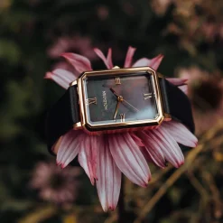 Holzkern Auctoritas|DAMES Horloges