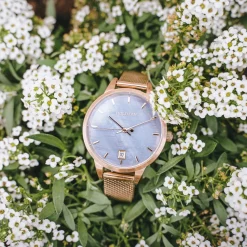 Holzkern Berylline|DAMES Horloges