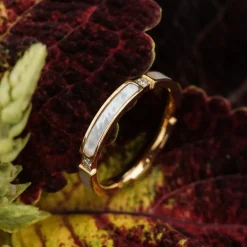 Holzkern Campania Ring|DAMES Sieraden|Ringen
