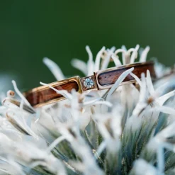 Holzkern CAMPANIA RING|DAMES Ringen|Sieraden