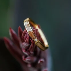 Holzkern CAMPANIA RING|DAMES Ringen|Sieraden
