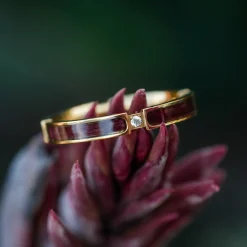 Holzkern CAMPANIA RING|DAMES Ringen|Sieraden