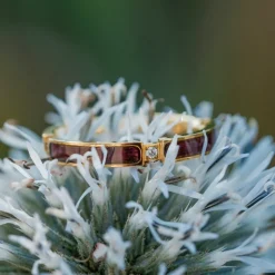 Holzkern CAMPANIA RING|DAMES Ringen|Sieraden