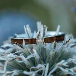 Holzkern CAMPANIA RING II|DAMES Ringen|Sieraden