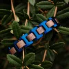 Holzkern Capriccio|DAMES Bandlets|Bandlets