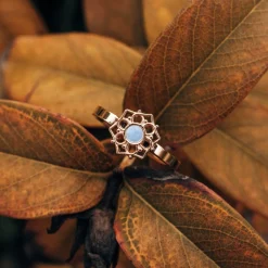 Holzkern Composition Ring|DAMES Ringen|Sieraden