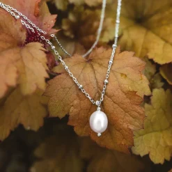 Holzkern Panoramic Ketting|DAMES Kettingen|Sieraden