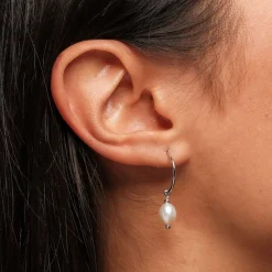 Holzkern Panoramic Oorbellen|DAMES Oorbellen|Sieraden