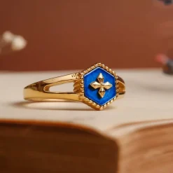 Holzkern Spectral Ring|DAMES Ringen|Sieraden
